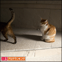 人気ブログランキングへ